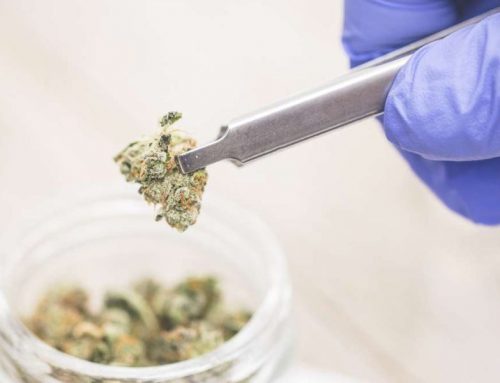 Why Medical Marijuana Should be Legal
