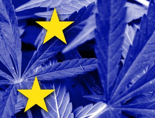 Where Is Weed Legal in Europe?
