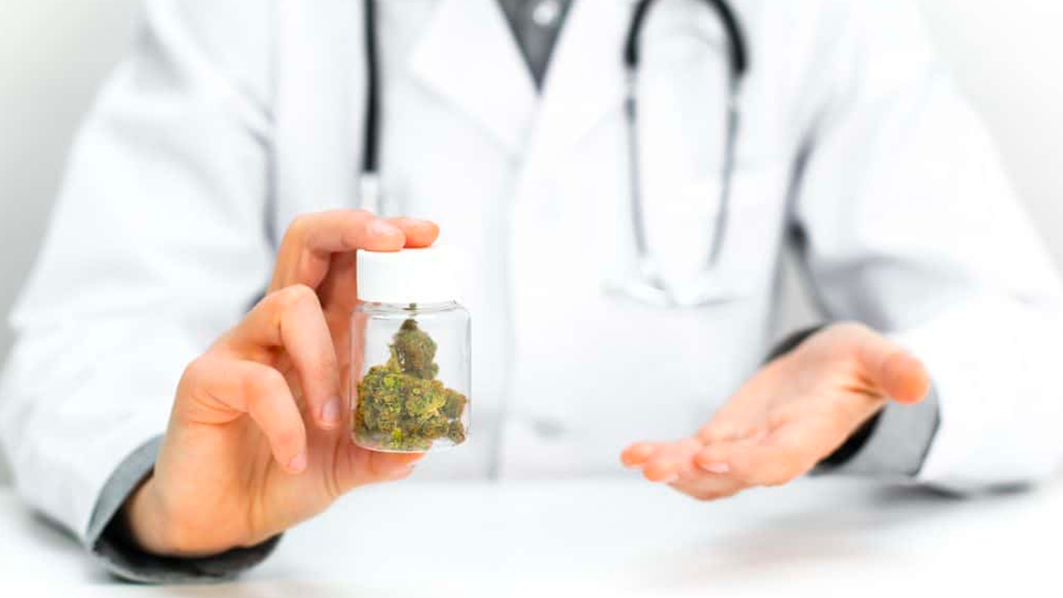 cannabis doctor